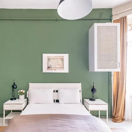 Modern Flat With Central Location In Beyoglu *